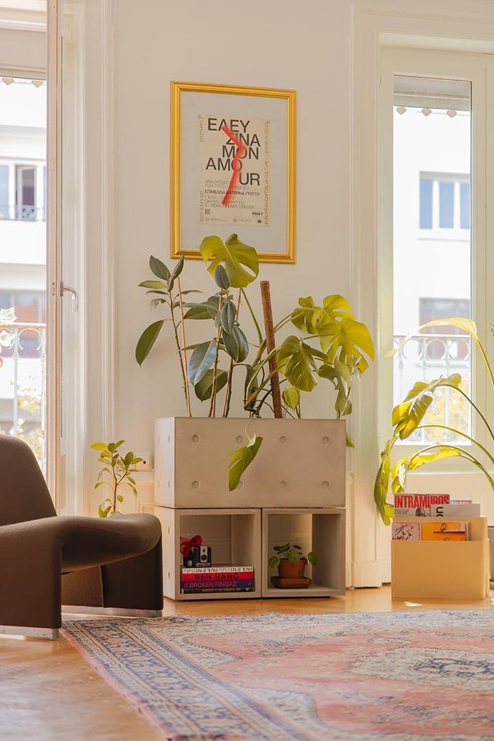 Concrete storage furniture with plants between two large windows in a french apartment